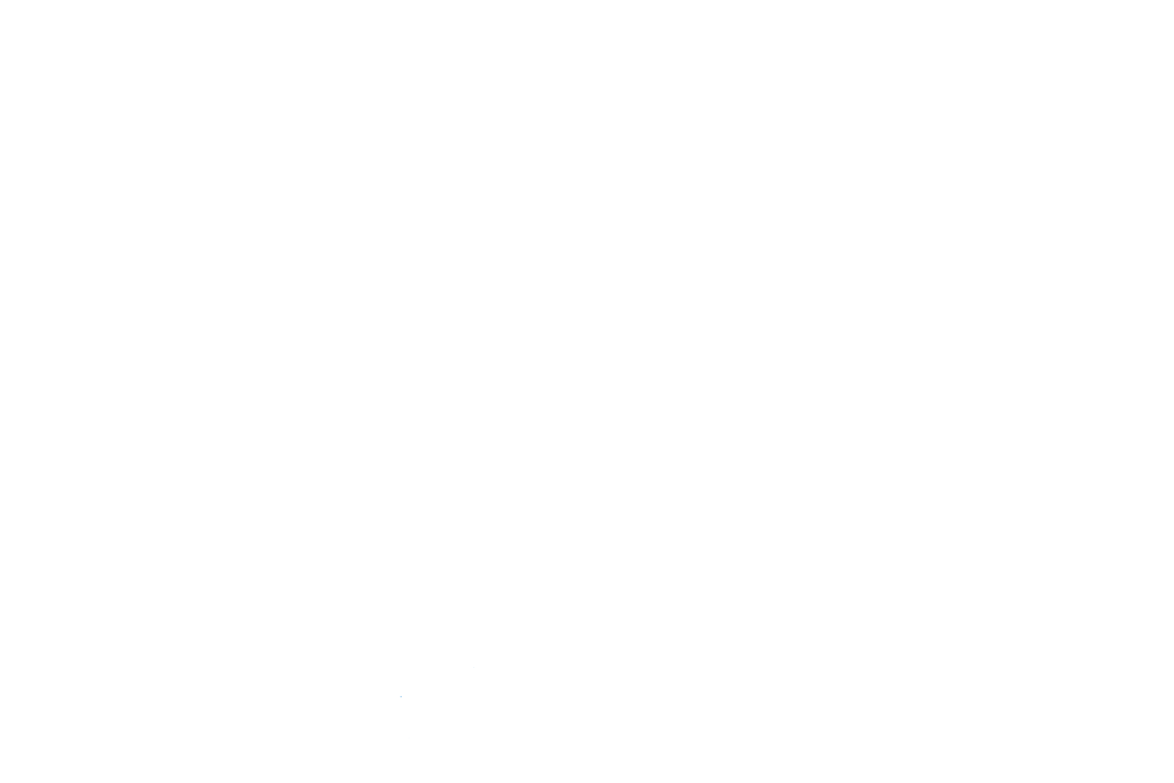 Georgia's 12th Congressional District Democratic Committee